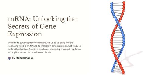 24/7 DNA to mRNA Converter: Unlocking the Secrets of Genetic Code