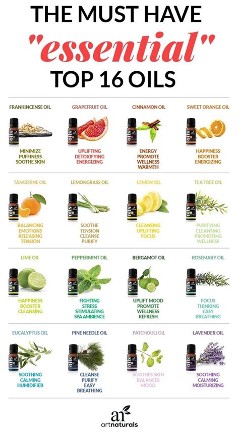 24 Refined Facts About Base Oils for Essential Oils: The Ultimate Guide