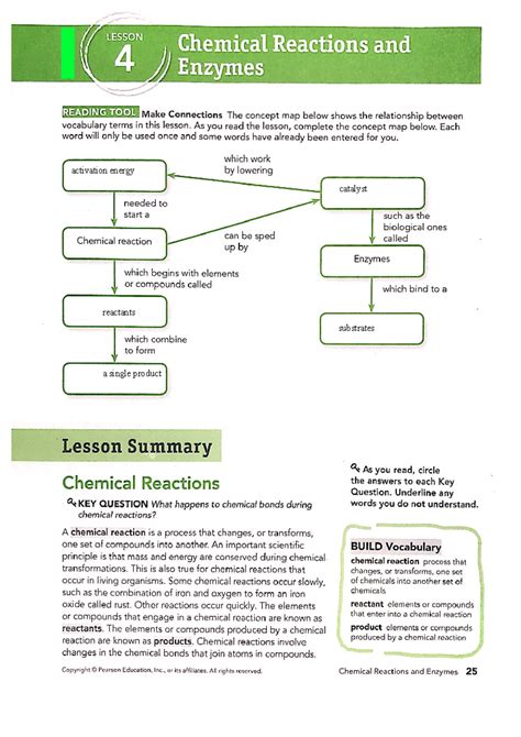 24 chemical reactions and enzymes worksheet answer key Reader