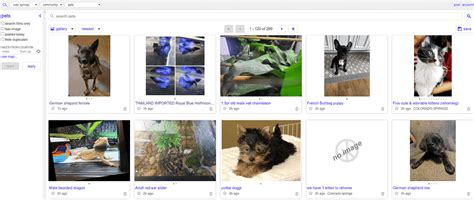 25 Craigslist Pets Colorado Springs: The Ultimate Guide for Animal Lovers