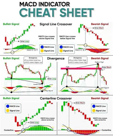 25 Key MACD Indicators