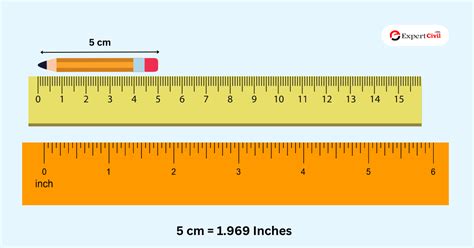 25.5cm to inches