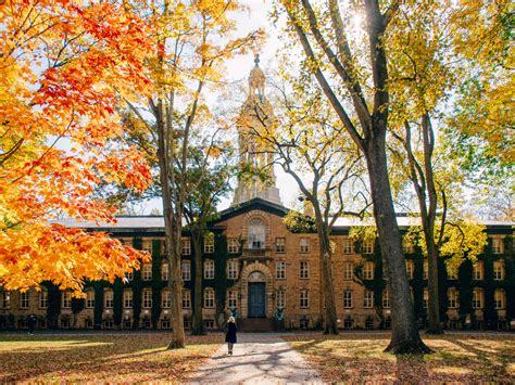 28 Things You Must Know About Princeton University MS Finance