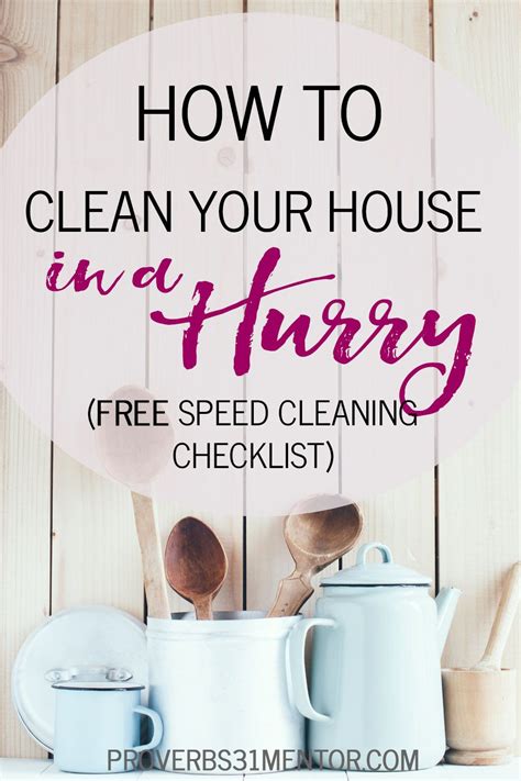 29 EASY STEPS TO SPEED CLEAN YOUR HOUSE Kindle Editon