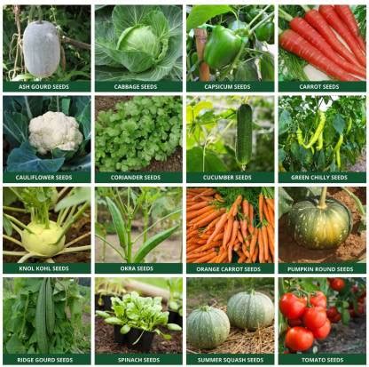 3,000+ Plant Varieties: