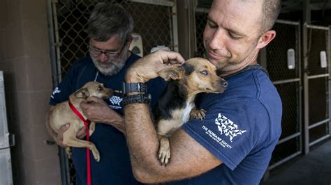 3,456 Animals Rescued and Cared For Since 2000