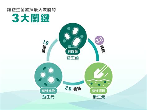 3 盎司的驚人力量：發揮其最大效益的 7 種創新方式