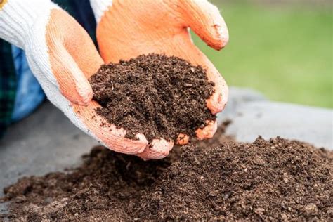 3 Amazing Benefits of Chelated Iron Fertilizer