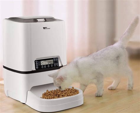 3 Benefits of Automatic Cat Feeders for Improved Nutrition in 2025