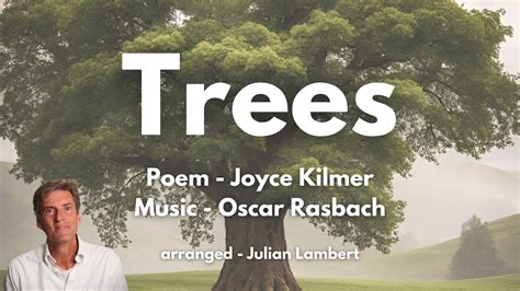 3 Classical Music Kilmer Trees That Will Transport You to Another World