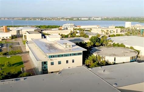 3 Colleges in Corpus Christi: Top Picks for Higher Education