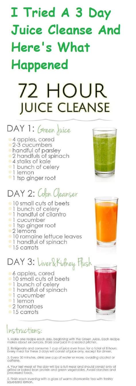 3 Day Juice Cleanse The Ultimate Guide to Lose Weight and Detox with Juices Epub