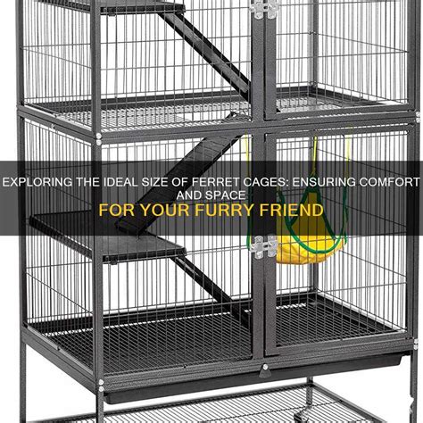 3 Essential Cages for Your Feline Friend: Size, Style, and Functionality