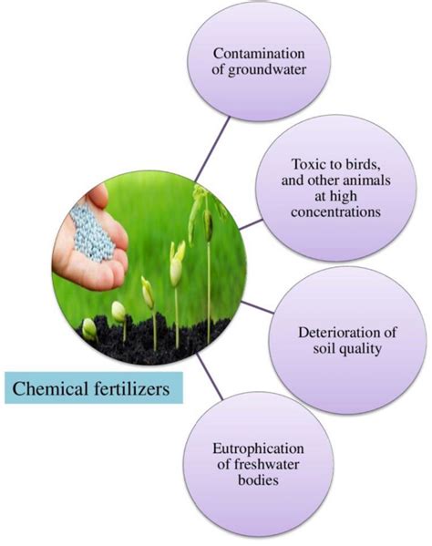 3 Essential Compounds in Fertilizer and Their Miraculous Benefits