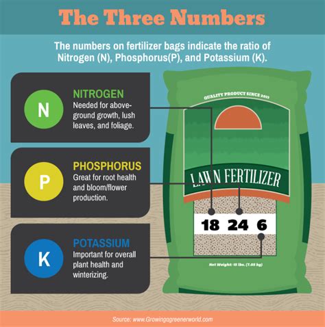 3 Essential Fertilizer Numbers for a Healthy Lawn