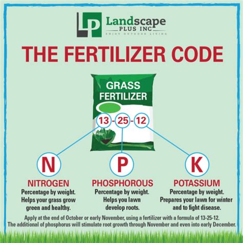 3 Essential Grass Fertilizer Numbers: Decoding the Code to a Lush Lawn