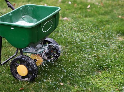 3 Essential Spreaders Fertilizer Tips for Maximizing Your Lawn's Health