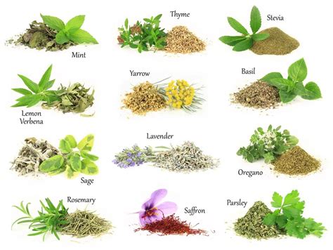 3 Herbs & 2 Natural Solutions Near You