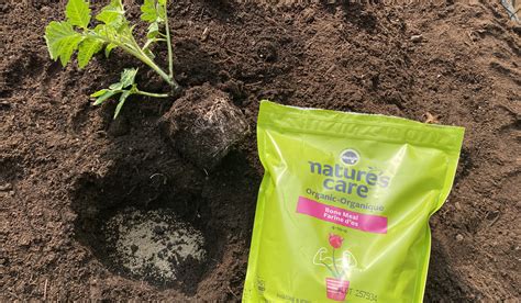 3 Low-Nitrogen Fertilizers You Can Trust