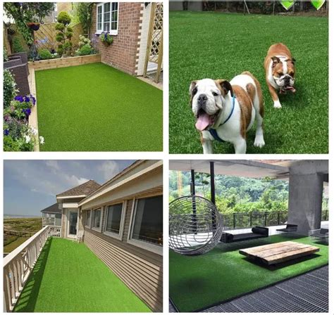 3 Major Artificial Grass for Dogs Benefits, 10 Buyers' Guide Tips, & 2 Pet-Friendly DIY Projects