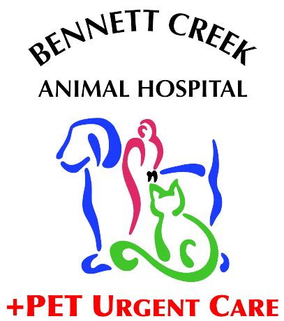 3 Must-Know Facts About Bennett Creek Vet Clarksburg