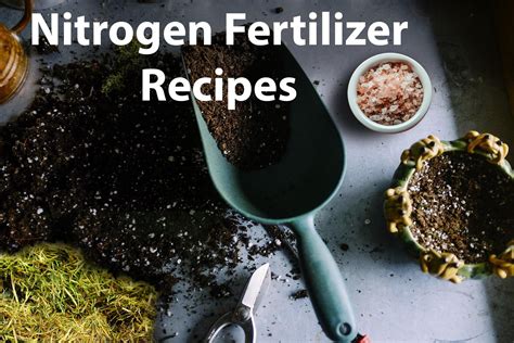 3 Natural Nitrogen Sources for Organic Fertilizer