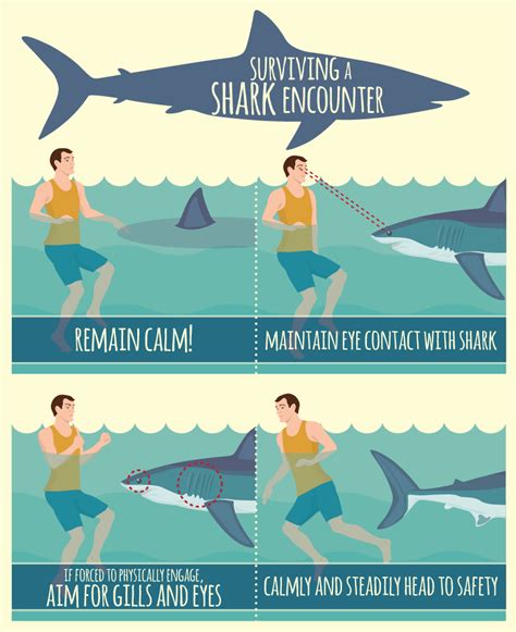 3 Reasons Why "Jumping the Shark" Matters and 5 Strategies to Avoid It