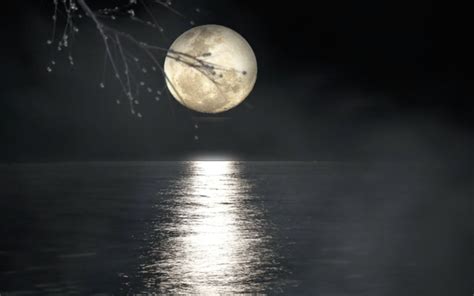 3 Reasons Why the Moon Represents My Heart Resonates with Audiences