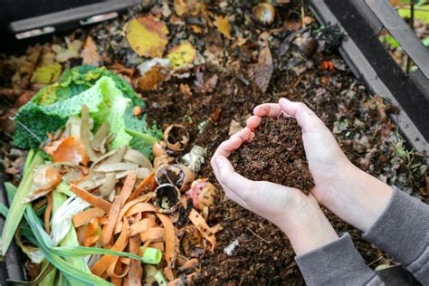 3 Simple Steps to Compost Like a Pro With Our State-of-the-Art Compost Making Machine