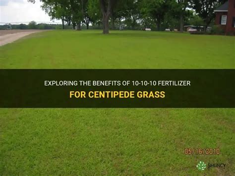 3 Tips for Boosting Grass Growth with 10-10-10 Fertilizer