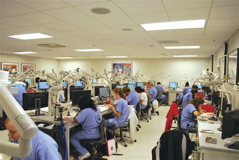 3 Top Dental Schools in Louisville, KY