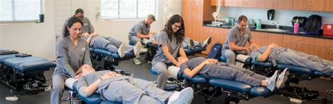 3 Ultimate Chiropractic Schools in Florida: Your Spine's Sanctuary