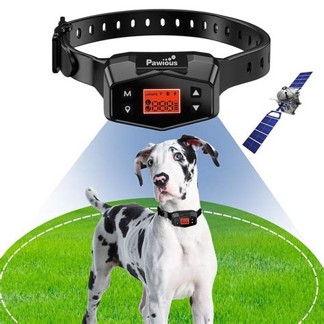 3 Ultimate FAQs and Answers on GPS Dog Fences by 2025