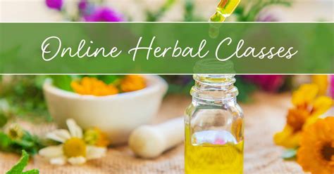 3 Unforgettable Herbal Classes Near Me to Elevate Your Wellness Journey