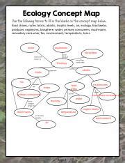 3 ecology concept map answer key Reader