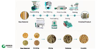 3-in-1 Poultry Feed Production Machine: Empowering Farmers with Efficiency and Precision