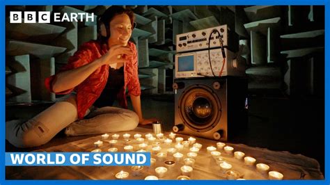 30,000 Hertz: Uncovering the Unheard World of Sound