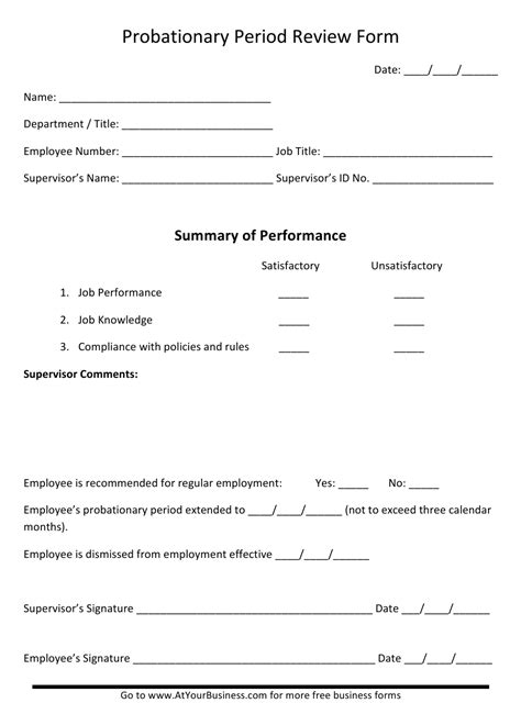 30 Day Probationary Period Template