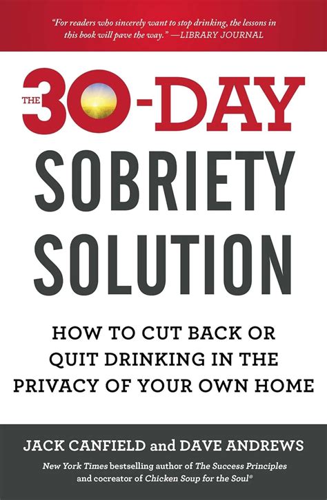 30 Day Sobriety Solution Drinking Privacy Kindle Editon