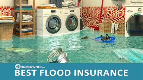 30 Flood Insurance Companies: Your Complete Guide to Protection