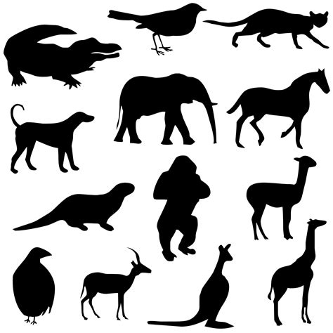 30 animals silhouettes animal coloring Reader