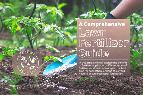 30-60-0 Lawn Starter Fertilizer: A Comprehensive Guide