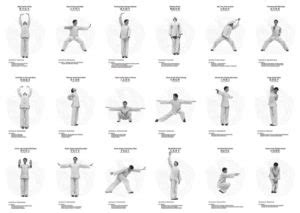 300 questions on qigong exercises Doc