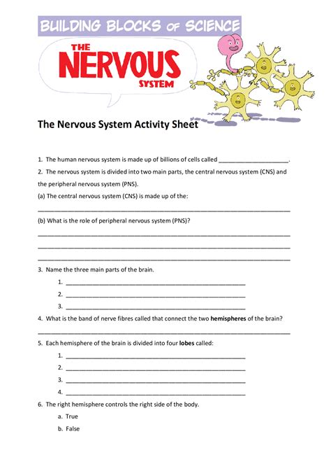 31 1 Nervous System Answer Key Epub