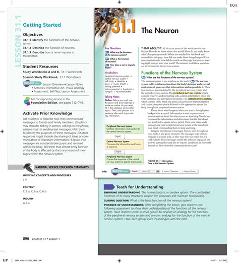 311 THE NEURON ANSWER KEY Ebook PDF