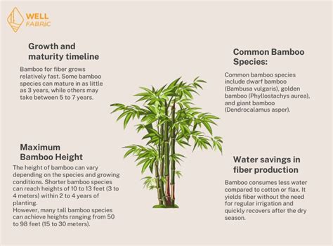 33 Benefits, 49 Uses, and 79 Surprising Facts about Bamboo