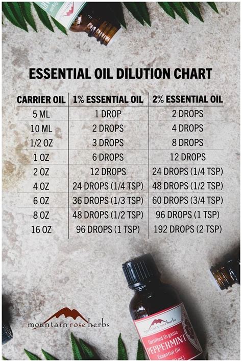 33 Carrier Oils for Essential Oils: Your Essential Guide to Dilution