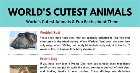 33 Cute Animals of the World Cool Facts and Picture Book Series for Kids Epub