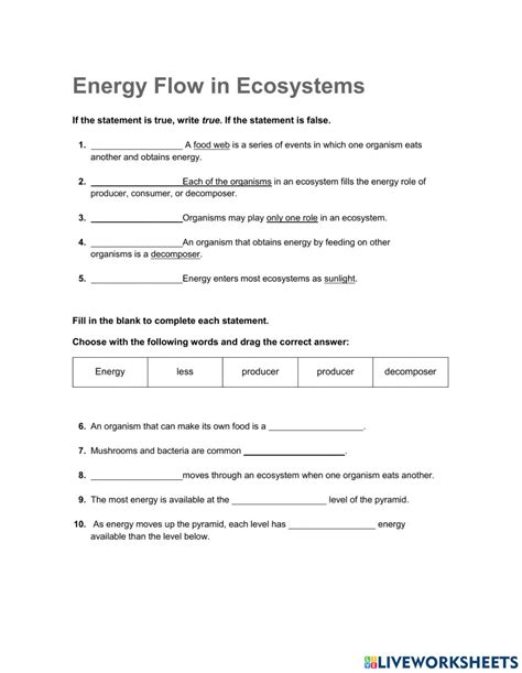 33 Energy Flow In Ecosystems Worksheet Answers Reader