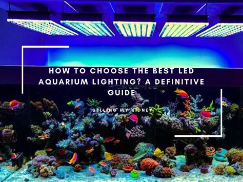 33 LED Aquarium Light Secrets You Should Know